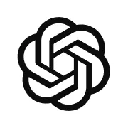 custom_website